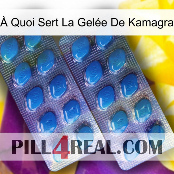 À Quoi Sert La Gelée De Kamagra viagra2.jpg